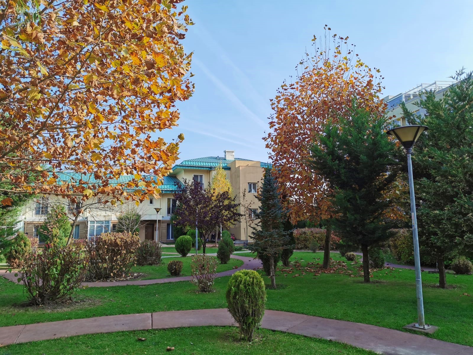 Toamnă în Cosmopolis Toamnă în Cosmopolis