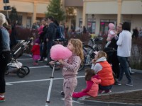 nicu-alifantis-zan-11