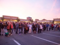 nicu-alifantis-zan-4