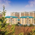 Apartamente cu 1 Dormitor