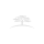 Galerie Evenimente